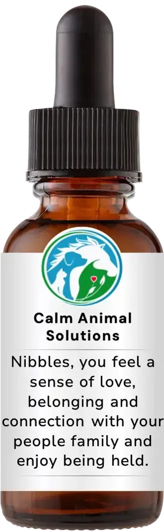 brown dropper bottle with animal communicator Catherine Winfree's Calm Animal Solutions label 