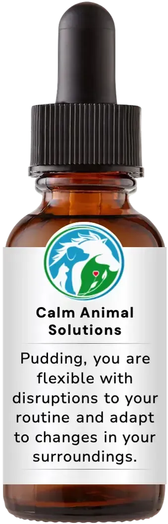 brown dropper bottle with animal communicator Catherine Winfree's Calm Animal Solutions label 