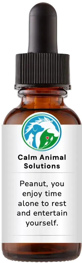 brown dropper bottle with animal communicator Catherine Winfree's Calm Animal Solutions label 