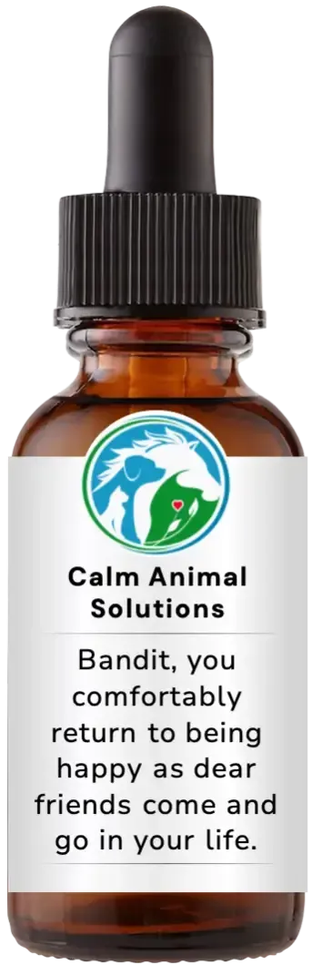 brown dropper bottle with animal communicator Catherine Winfree's Calm Animal Solutions label 