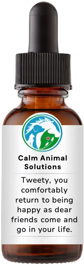 brown dropper bottle with animal communicator Catherine Winfree's Calm Animal Solutions label 