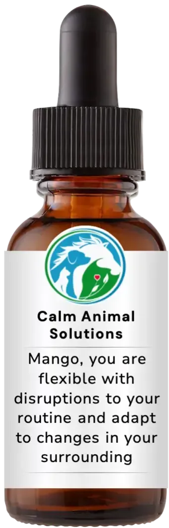 brown dropper bottle with animal communicator Catherine Winfree's Calm Animal Solutions label 