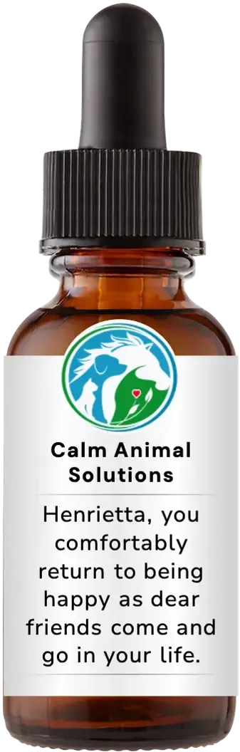 brown dropper bottle with animal communicator Catherine Winfree's Calm Animal Solutions label 