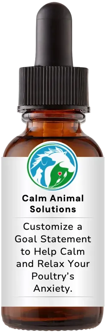 brown dropper bottle with animal communicator Catherine Winfree's Calm Animal Solutions label 