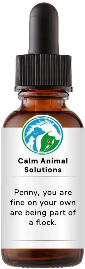 brown dropper bottle with animal communicator Catherine Winfree's Calm Animal Solutions label 