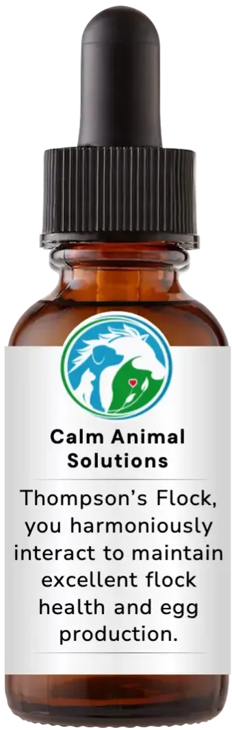 brown dropper bottle with animal communicator Catherine Winfree's Calm Animal Solutions label 