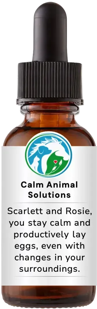 brown dropper bottle with animal communicator Catherine Winfree's Calm Animal Solutions label 