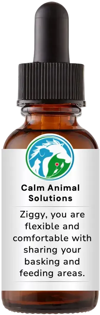 brown dropper bottle with animal communicator Catherine Winfree's Calm Animal Solutions label 