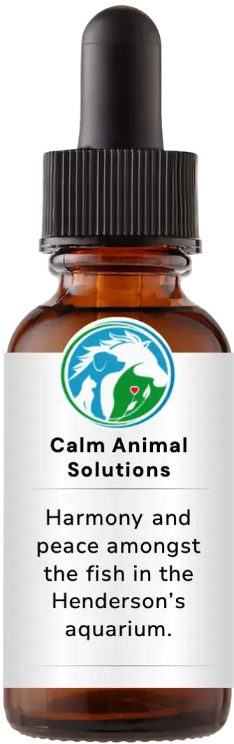 brown dropper bottle with animal communicator Catherine Winfree's Calm Animal Solutions label 