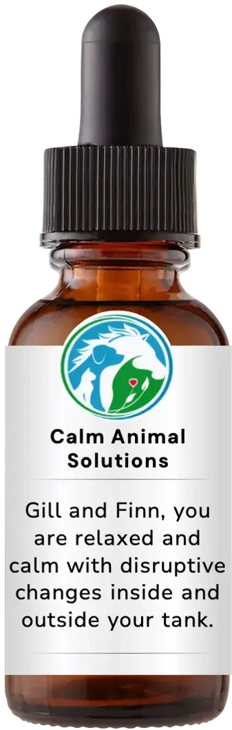 brown dropper bottle with animal communicator Catherine Winfree's Calm Animal Solutions label 