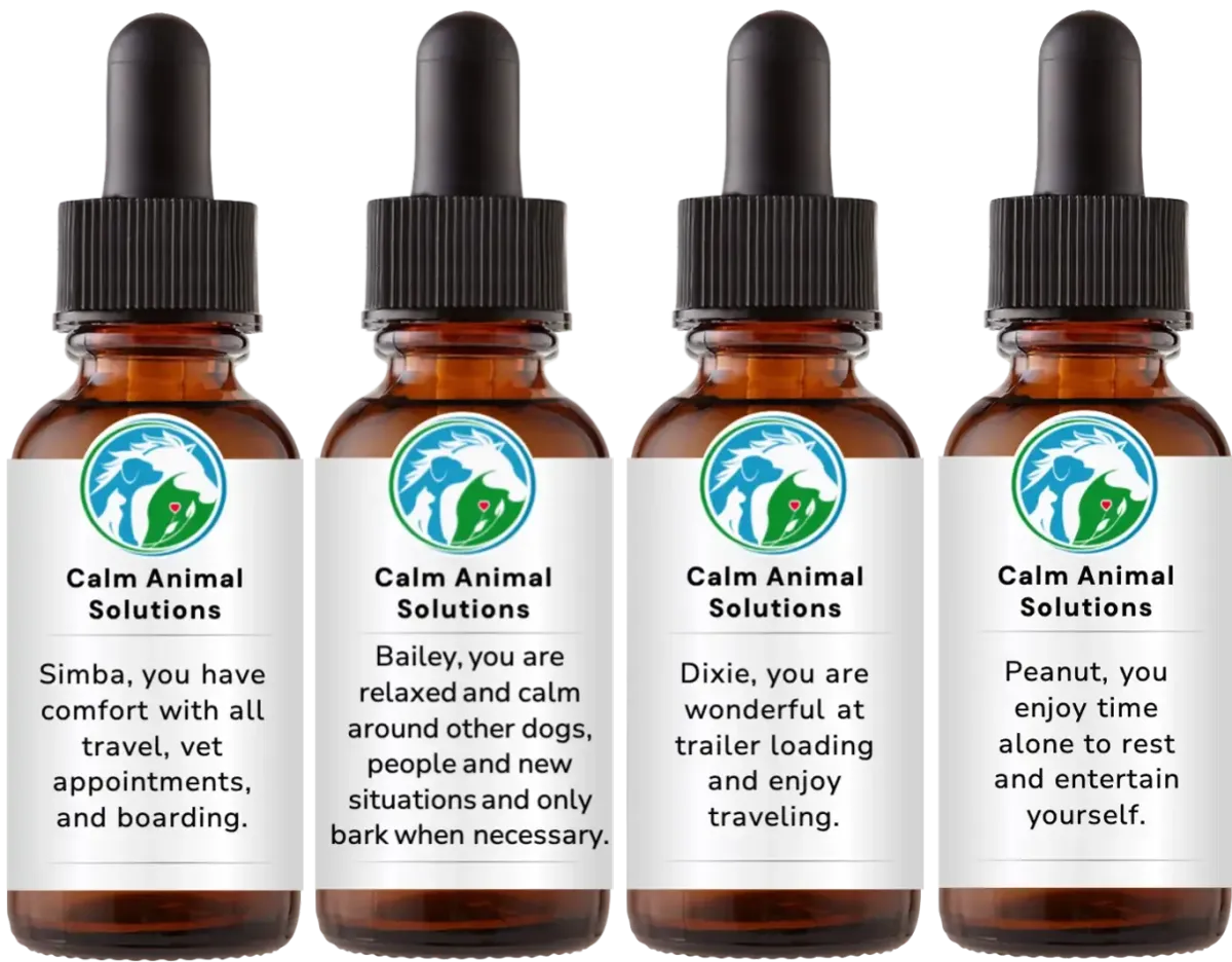 4 brown dropper bottles with animal communicator Catherine Winfree's Calm Animal Solutions label 