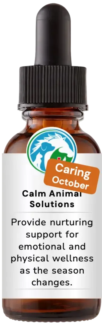 brown dropper bottle with white calm animal solution label 