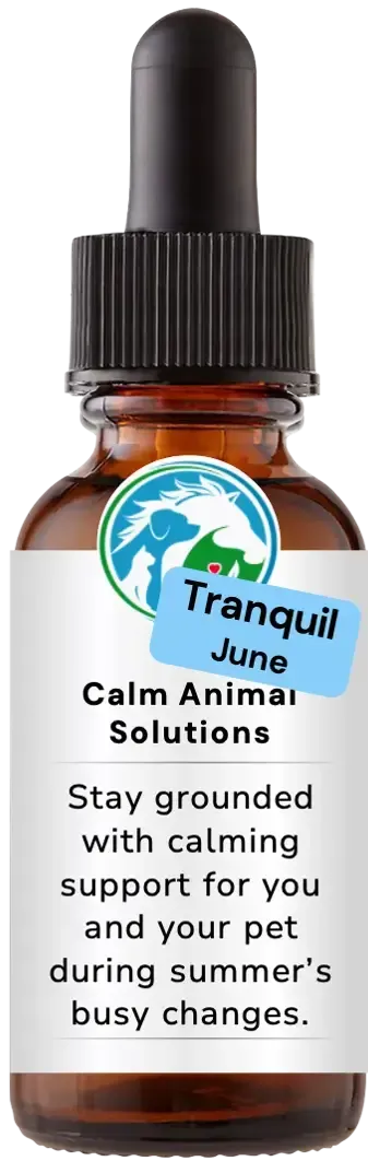 brown dropper bottle with white calm animal solution label 