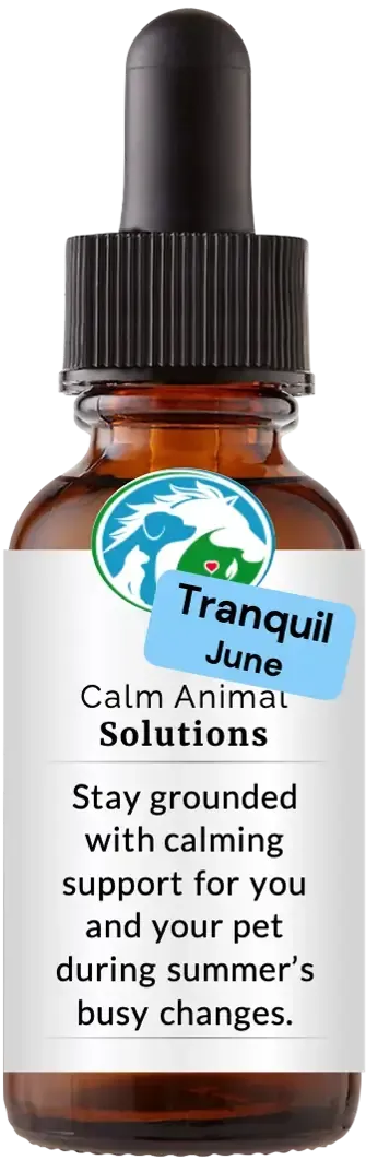 brown dropper bottle with animal communicator Catherine Winfree's Calm Animal Solutions label 