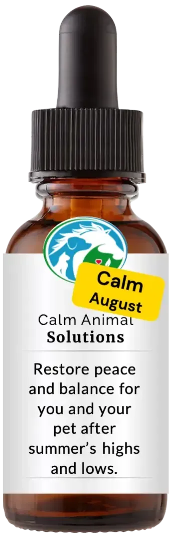 brown dropper bottle with animal communicator Catherine Winfree's Calm Animal Solutions label 