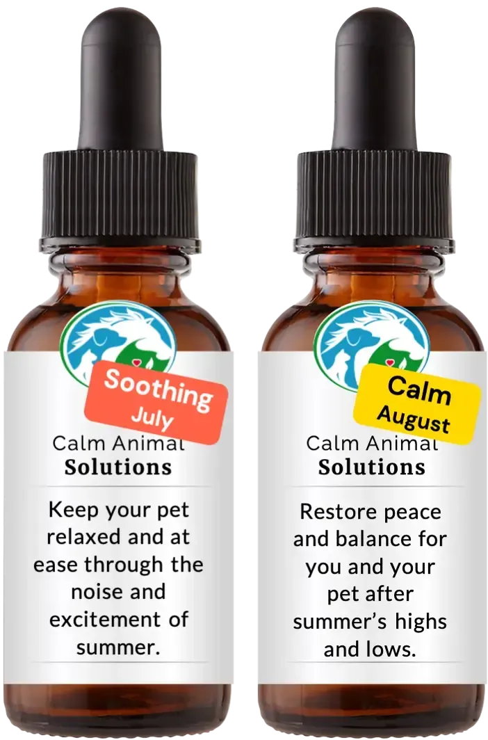 2 brown dropper bottle with white calm animal solutions label 