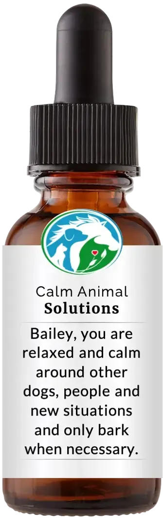 brown dropper bottle with animal communicator Catherine Winfree's Calm Animal Solutions label 