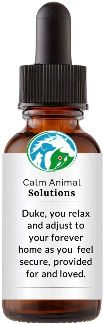 brown dropper bottle with animal communicator Catherine Winfree's Calm Animal Solutions label 