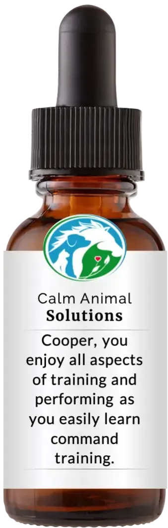 brown dropper bottle with animal communicator Catherine Winfree's Calm Animal Solutions label 