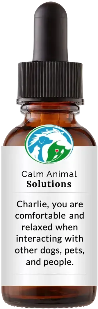 brown dropper bottle with animal communicator Catherine Winfree's Calm Animal Solutions label 