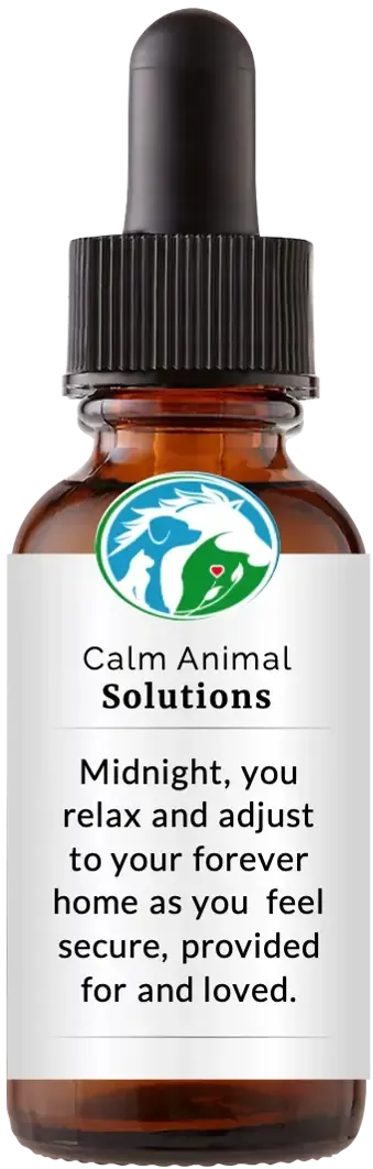 brown dropper bottle with animal communicator Catherine Winfree's Calm Animal Solutions label 