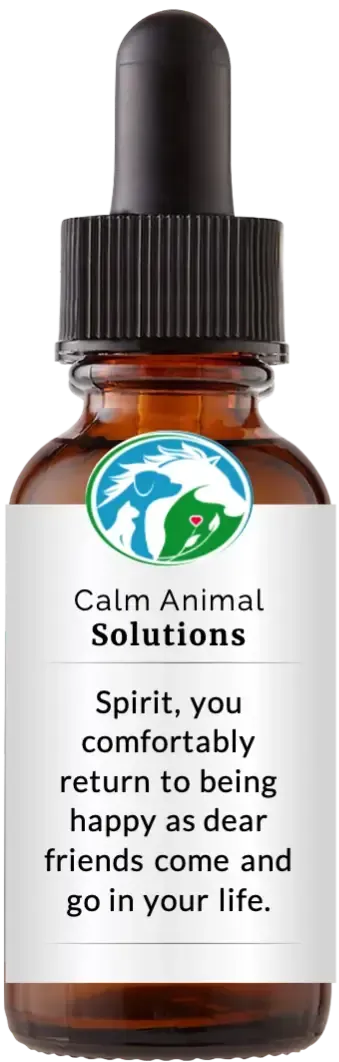 brown dropper bottle with animal communicator Catherine Winfree's Calm Animal Solutions label 