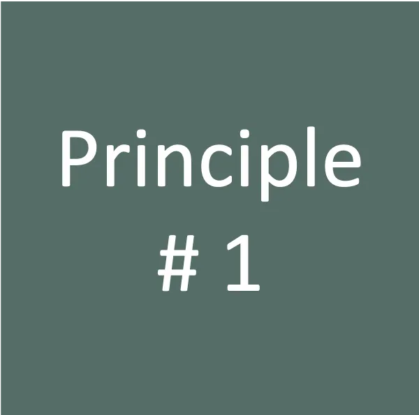 The words 'Principle #1' on a green circle