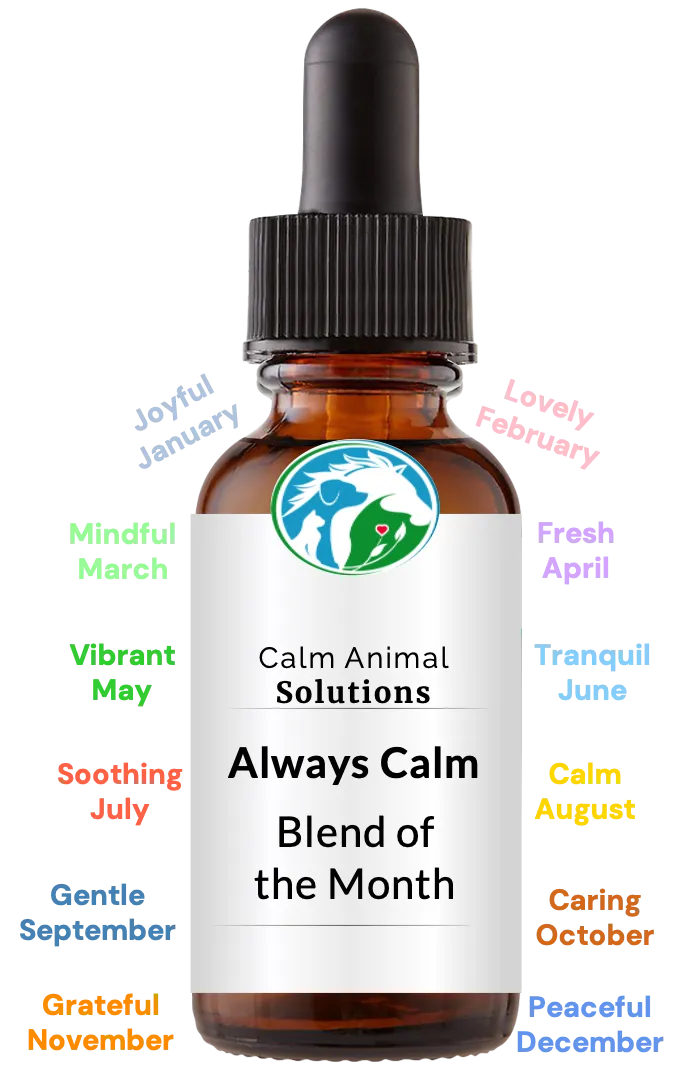 brown dropper bottle with animal communicator Catherine Winfree's Calm Animal Solutions label 