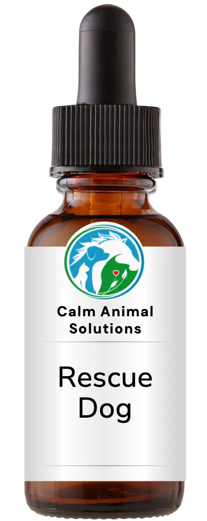 brown dropper bottle with animal communicator Catherine Winfree's Calm Animal Solutions label 