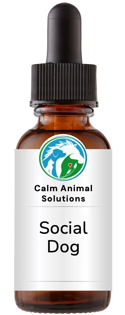 brown dropper bottle with animal communicator Catherine Winfree's Calm Animal Solutions label 
