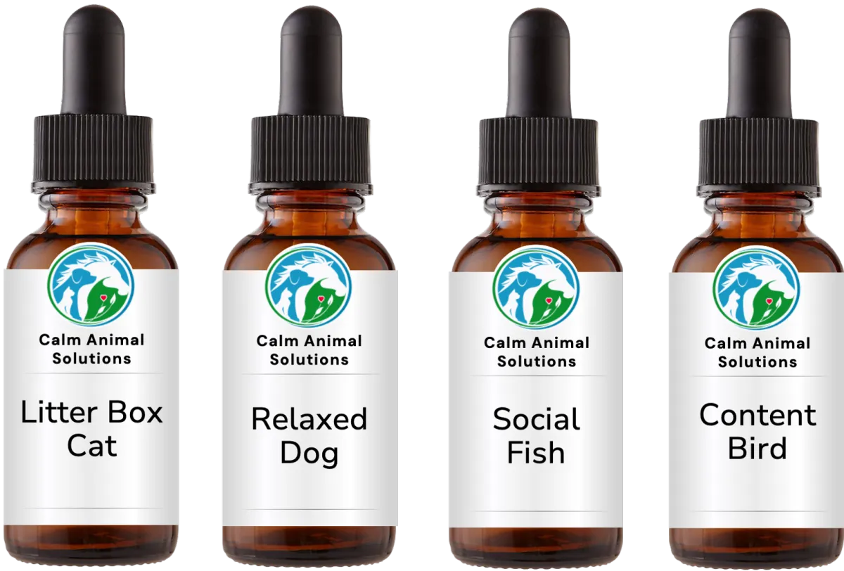 4 brown dropper bottles with animal communicator Catherine Winfree's Calm Animal Solutions label 