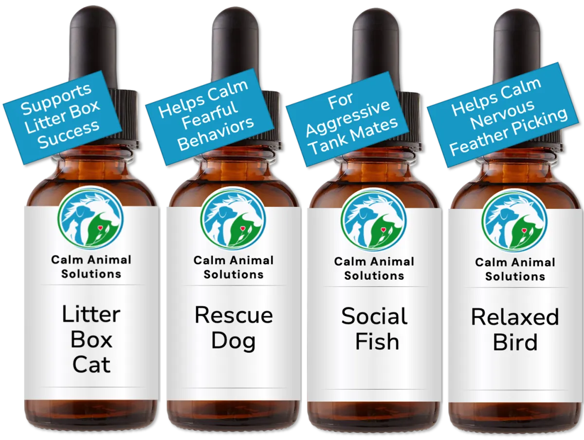 4 brown dropper bottles with animal communicator Catherine Winfree's Calm Animal Solutions label 