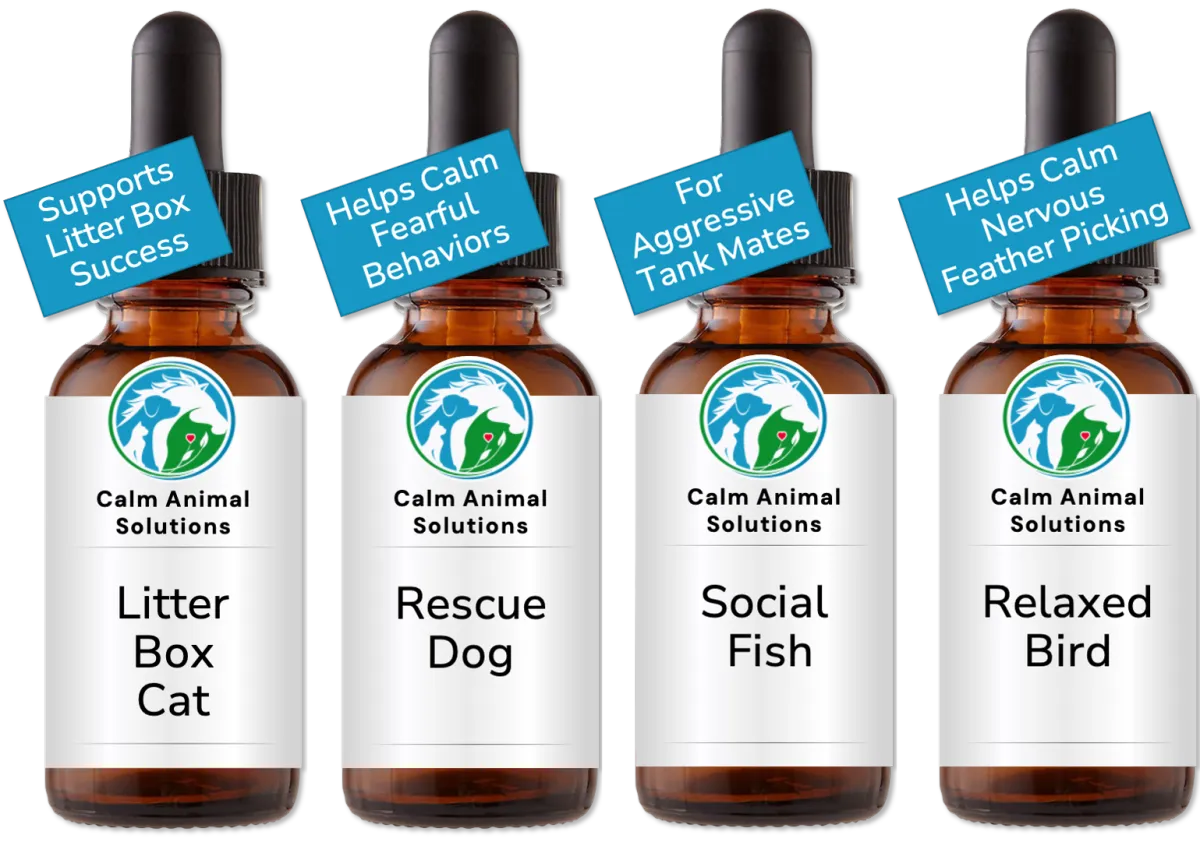 4 brown dropper bottles with animal communicator Catherine Winfree's Calm Animal Solutions label 