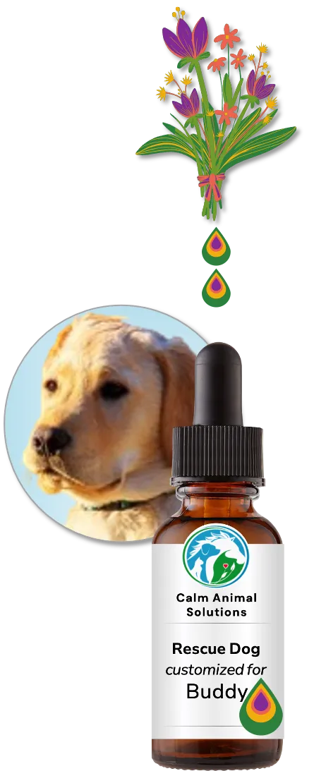 flower bouquet with two colorful drops above Calm Animal Solutions bottle with a photo of a dog behind the bottle
