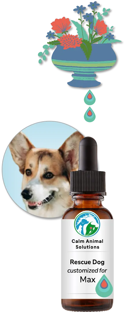 flower bouquet with two colorful drops above Calm Animal Solutions bottle with a photo of a dog behind the bottle