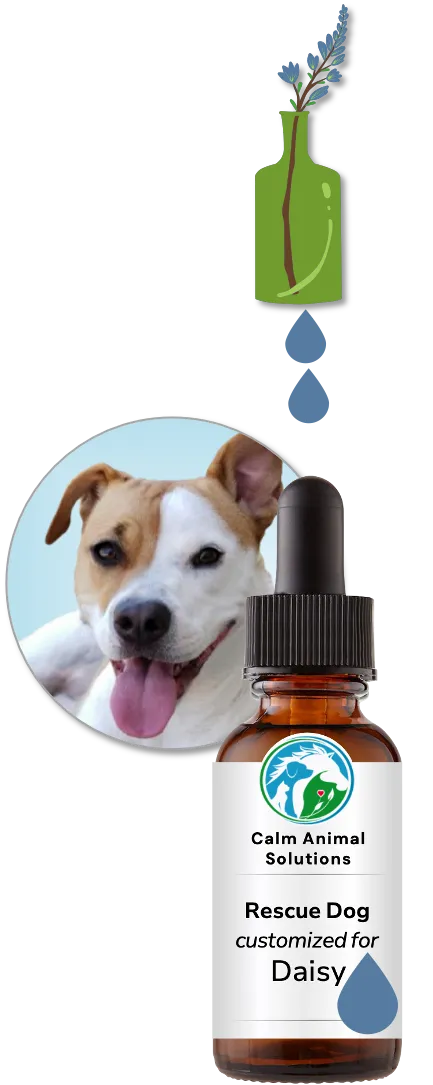 flower bouquet with two colorful drops above Calm Animal Solutions bottle with a photo of a dog behind the bottle