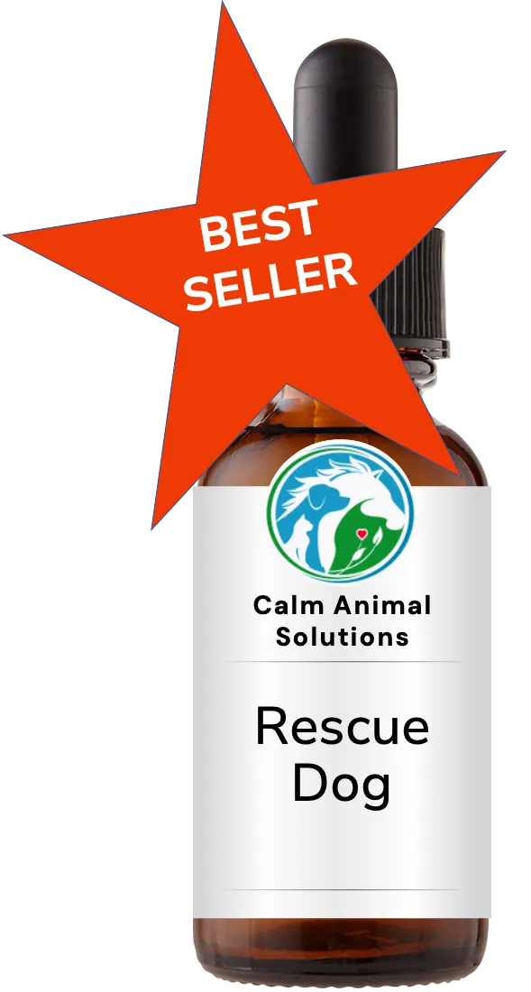 1 amber dropper bottle with Calm Animal Solutions label