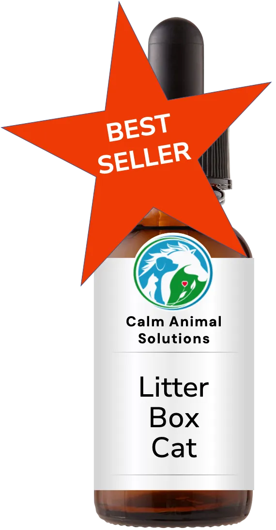 1 amber dropper bottle with Calm Animal Solutions label