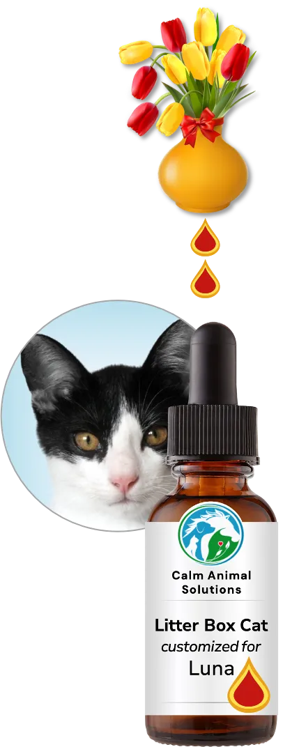 flower bouquet with two colorful drops above Calm Animal Solutions bottle with a photo of a dog behind the bottle