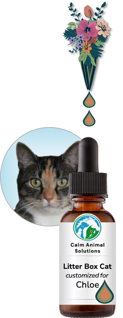 flower bouquet with two colorful drops above Calm Animal Solutions bottle with a photo of a dog behind the bottle