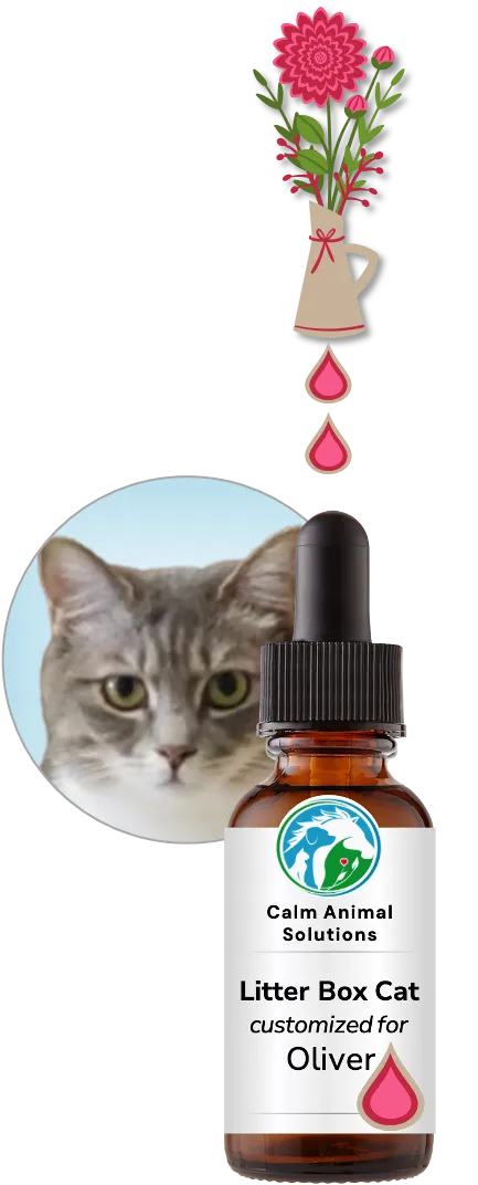 flower bouquet with two colorful drops above Calm Animal Solutions bottle with a photo of a dog behind the bottle