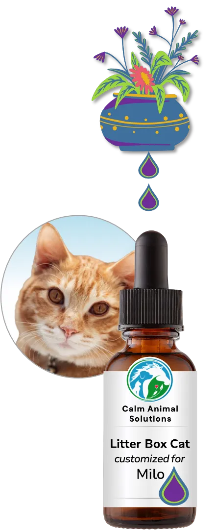 flower bouquet with two colorful drops above Calm Animal Solutions bottle with a photo of a dog behind the bottle