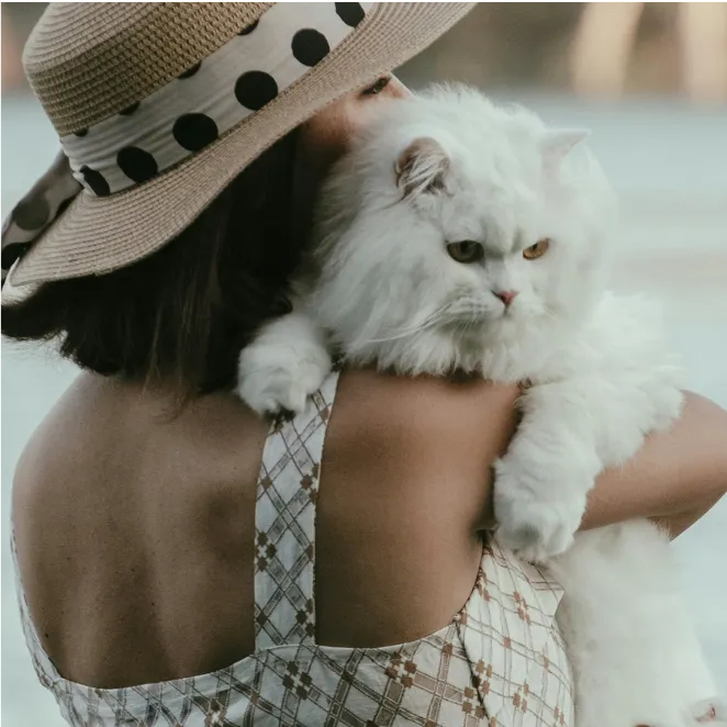 woman with hat carrying large white cat on er shoulder