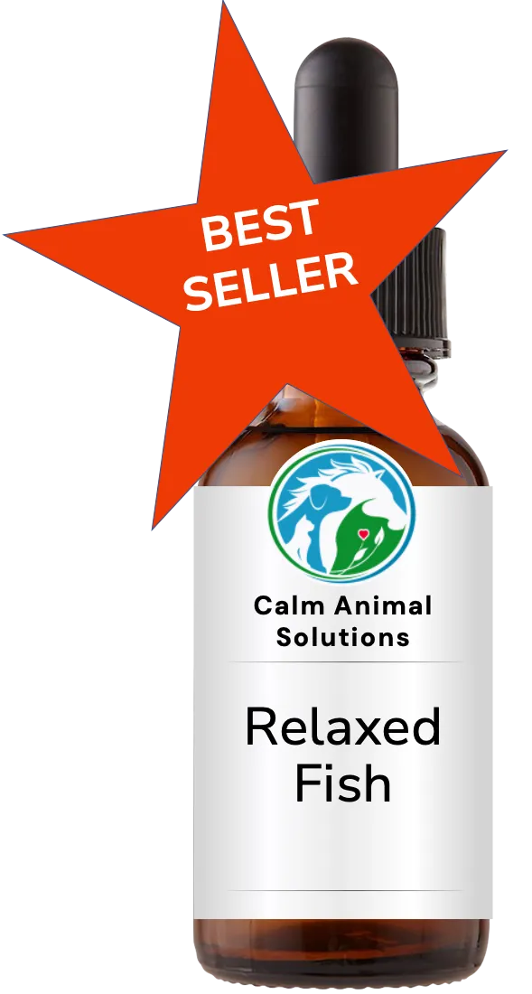 1 amber dropper bottle with Calm Animal Solutions label