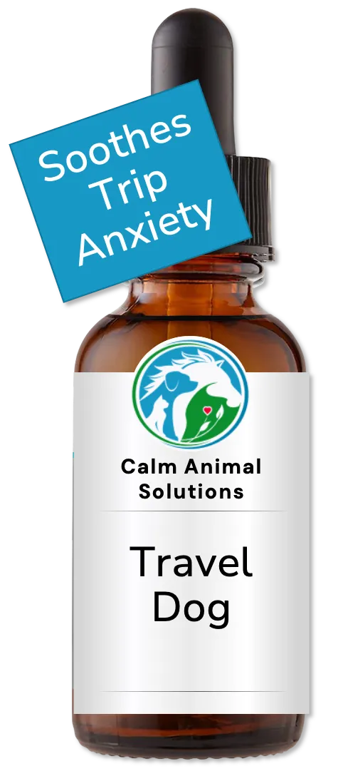 Calming flower essence for dogs during car rides and vet visits