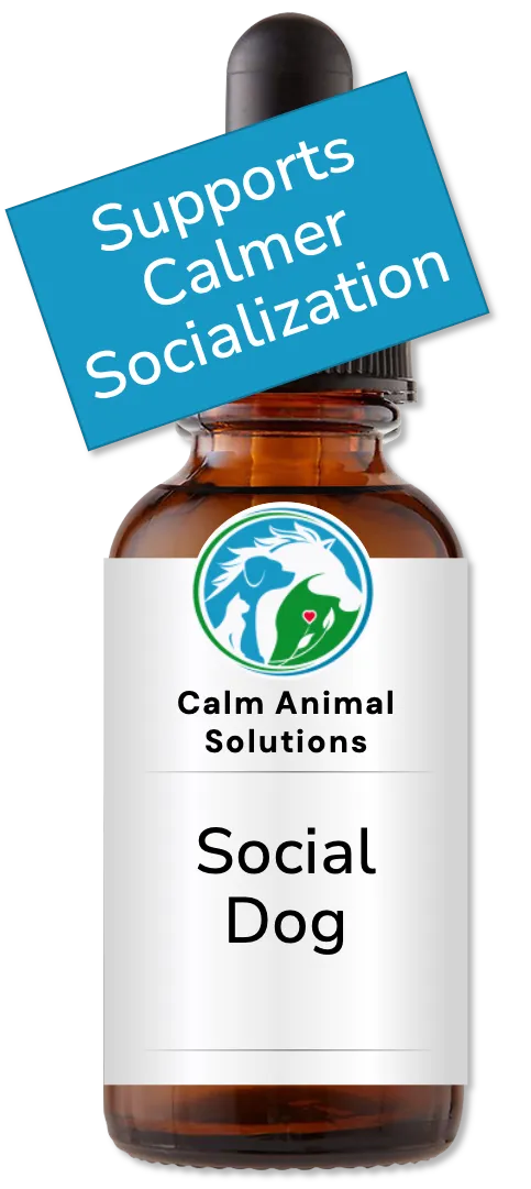 Calm Animal Solutions Social Dog flower essence for leash reactivity and social stress
