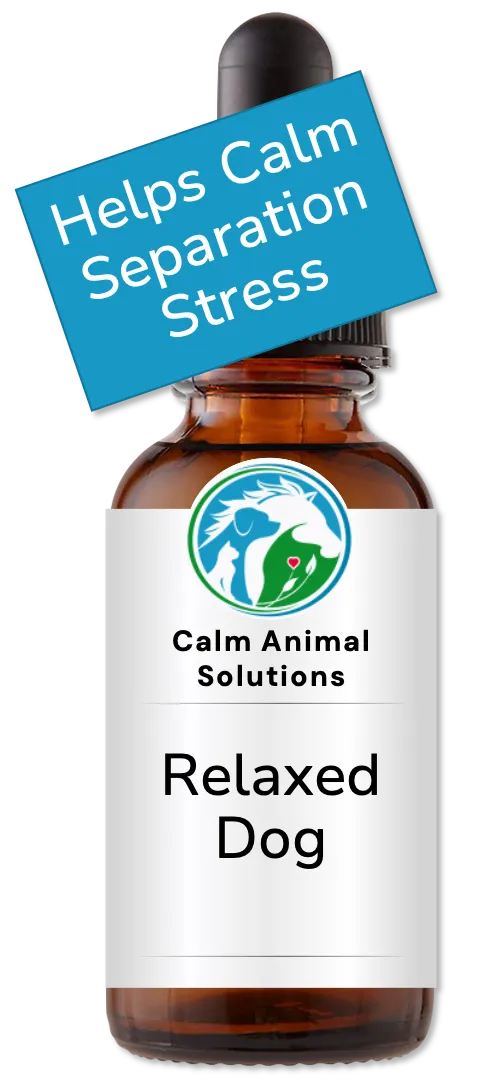Calm Animal Solutions Relaxed Dog calming flower essence custom blended by Catherine Winfree for separation anxiety relief
