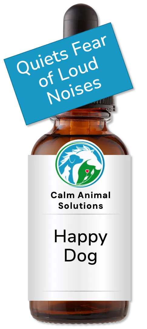 Calm Animal Solutions Happy Dog flower essence custom blended by animal communicator Catherine Winfree for thunder and noise fear
