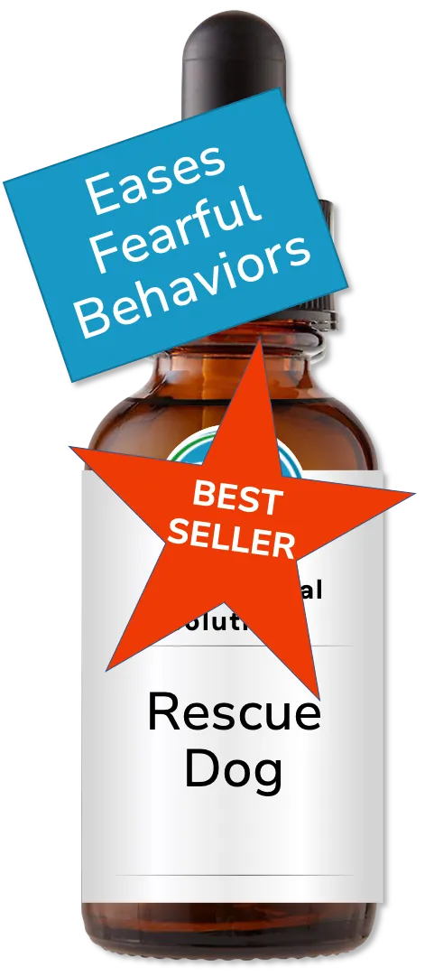 Calm Animal Solutions Rescue Dog flower essence custom blended by animal communicator Catherine Winfree for rescue dog stress and trust recovery