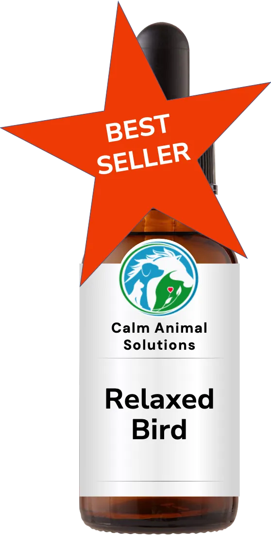 1 amber dropper bottle with Calm Animal Solutions label